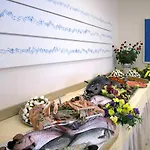 Hotel Metropol Diano Marina